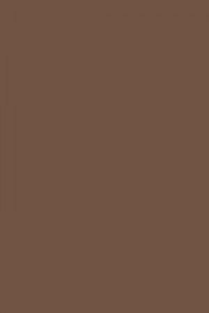 FARROW AND BALL LONDON CLAY NO. 244 PAINT